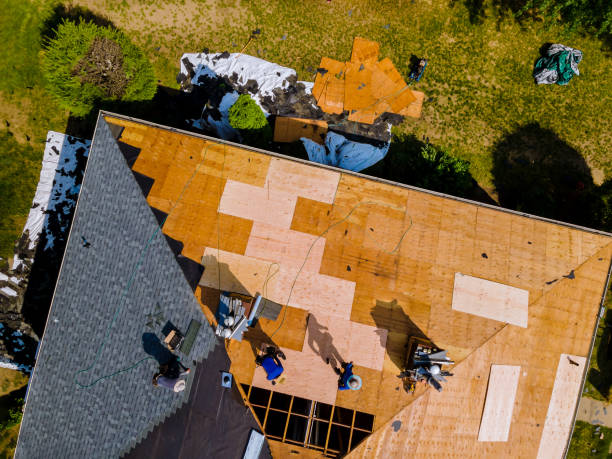 Best Storm Damage Roof Repair  in Fort Loramie, OH