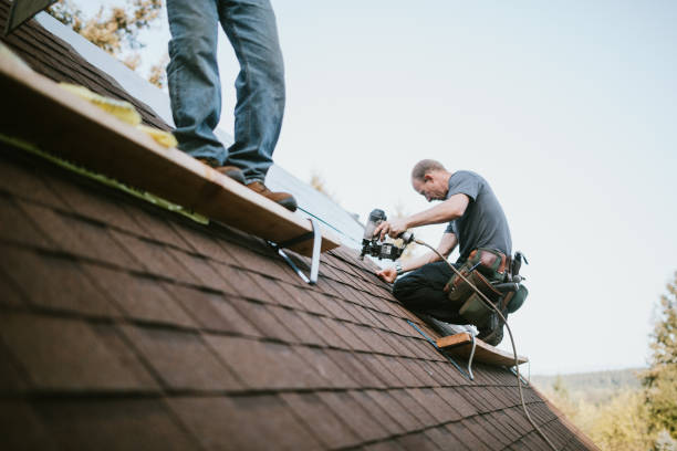Roof Gutter Cleaning in Fort Loramie, OH